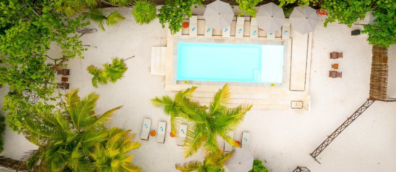 El Paraiso Hotel トゥルム エクステリア 写真